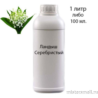 картинка Наливные масляные духи Ландыш-Серебристый, 1000 ml духи от оптового интернет магазина MisterSmell