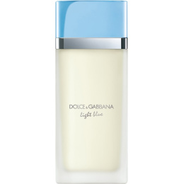 Высокого качества Dolce&Gabbana - Light Blue Pour Femme New Refillable Packaging,100 ml