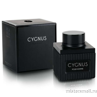 картинка Flavia - Cygnus Pour Homme, 100 ml духи от оптового интернет магазина MisterSmell