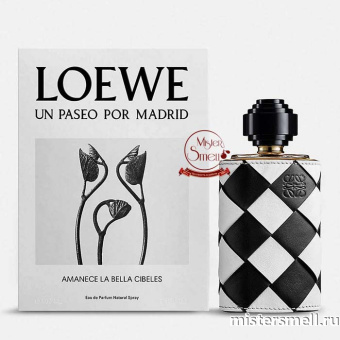 Купить Высокого качества Loewe - Un Paseo Por Madrid, 100 ml оптом