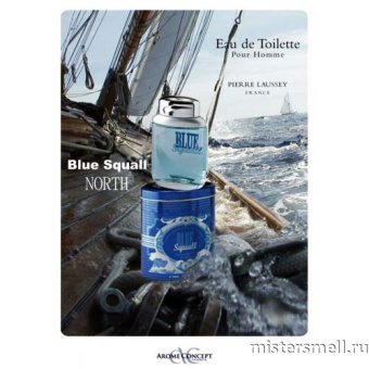 картинка Lancoom - Pierre Laussey Blue Squall Pour Homme, 100 ml от оптового интернет магазина MisterSmell