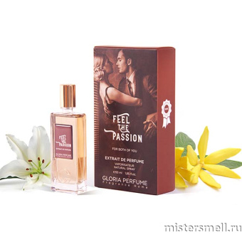 картинка Gloria Perfume - Tiziana Terenzi Andromeda №23, 55 ml от оптового интернет магазина MisterSmell