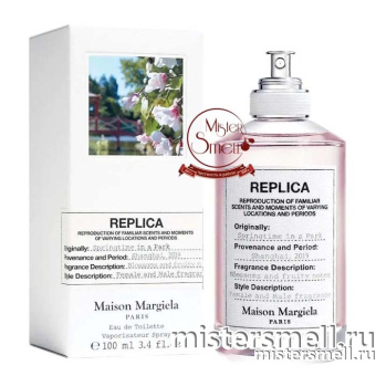 Купить Высокого качества Maison Martin Margiela - Replica Springtime in a Park, 100 ml духи оптом