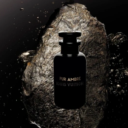 Высокого качества 1в1 Louis Vuitton - Pur Ambre 100 ml