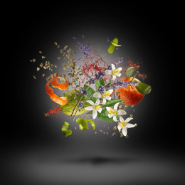 Высокого качества Xerjoff - Duran Duran Black Moonlight 50 ml