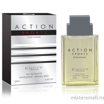 картинка Swiss Perfumes - Entity Action Sports, 100 ml духи от оптового интернет магазина MisterSmell
