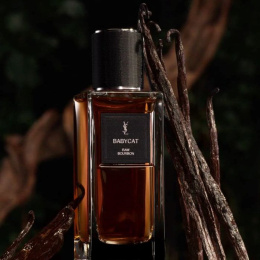 Высокого качества Yves Saint Laurent - Babycat Raw Bourbon, 100 ml