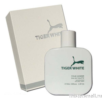 картинка Cosmo - Tiger White Pour Homme, 100 ml от оптового интернет магазина MisterSmell