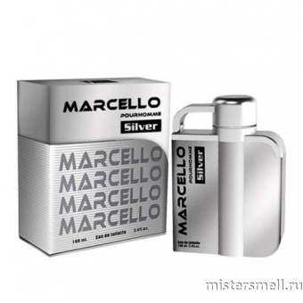 картинка Delta Parfum - Marcello Silver Pour Homme, 100 ml от оптового интернет магазина MisterSmell