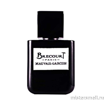 картинка Оригинал Brecourt - Mauvais Garcon Eau de Parfum 50 ml от оптового интернет магазина MisterSmell