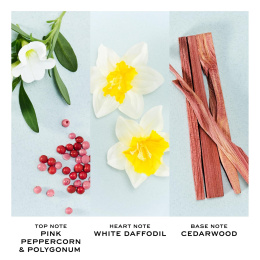 Оригинал Marc Jacobs Perfect Eau De Toilette Edt (W) 100 ml