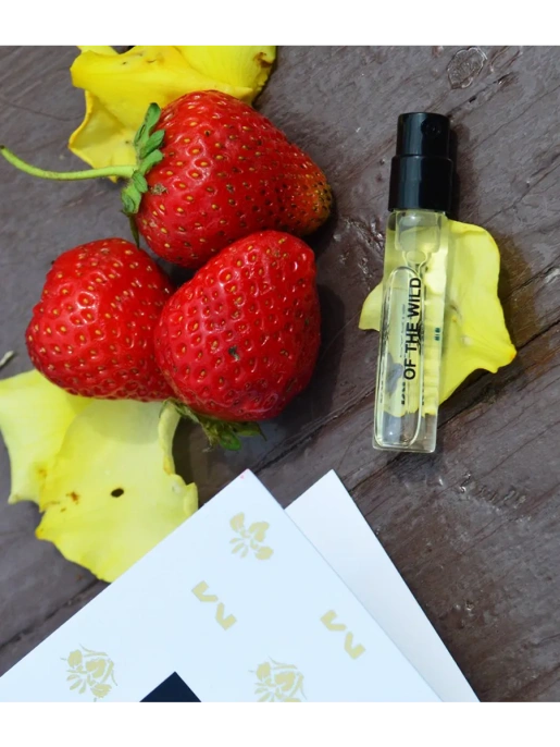 Пробник Оригинал Mancera Of The Wild 2 ml