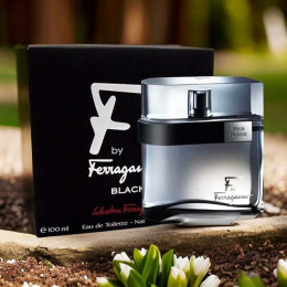 Оригинал Salvatore Ferragamo - F by Black Pour Homme, 100 ml