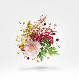 Оригинал Xerjoff XJ 1861 Zefiro EDP 100 ml