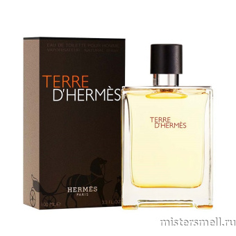 картинка Упаковка (12 шт.) Hermes - Terre d'Hermes, 100 ml от оптового интернет магазина MisterSmell