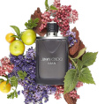 Оригинал Jimmy Choo - Man Eau de Toilette 50 ml