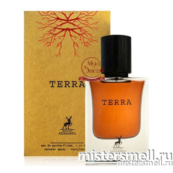 картинка Al Hambra - Terra 50 ml духи от оптового интернет магазина MisterSmell