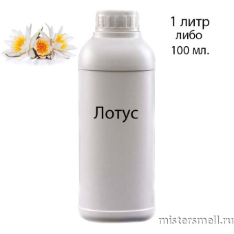 картинка Наливные масляные духи Лотус, 1000 ml духи от оптового интернет магазина MisterSmell