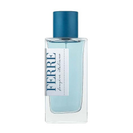 Оригинал Gianfranco Ferre - Fougere italiano Eau de Toilette 100 ml