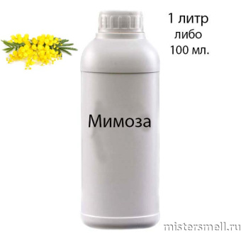 картинка Наливные масляные духи Мимоза, 1000 ml духи от оптового интернет магазина MisterSmell