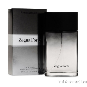 Купить Ermenegildo Zegna - Forte Man, 100 ml оптом
