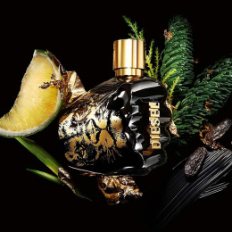 Оригинал Diesel - Spirit Of The Brave Eau de Toilette 75 ml