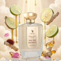 Volare Parfums - Feel The Divinity Eau de Parfum 100 ml