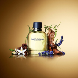 Пробник оригинал Dolce & Gabbana - Pour Homme 2 ml