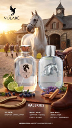 Volare Parfums - Valerius Eau de Parfum 100 ml