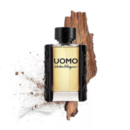 Оригинал Salvatore Ferragamo - Uomo Pour Homme, 100 ml