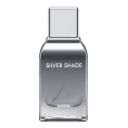 Тестер оригинал Ajmal - Silver Shade 100 ml