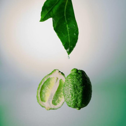 Оригинал Orlov Paris - The Best Of Me Eau de Parfum 75 ml