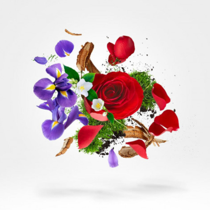 Оригинал Xerjoff XJ 17/17 Elle Parfum 50 ml