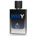 Milestone - WHY Eau de Parfum 100 ml