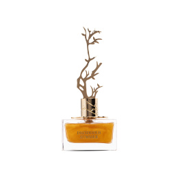 Aurora Scents - Deciduous Summer 100 ml