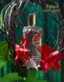Paris Corner - Ibisco Nirvana Eau de Parfum 100 ml