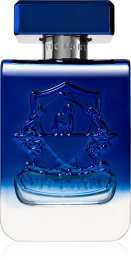 Victory Perfumes -  Radiant Eau de Parfum 100 ml