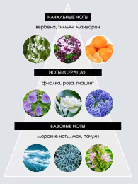 Evaflor - Whisky Silver for Men 100 мл