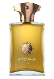 Высокого качества Amouage - Dia Man 100 ml