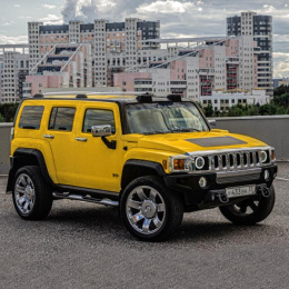 Оригинал Hummer - For Men by Hummer Eau de Toilette 125 ml