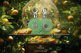 Paris Corner - North Stag Expressions III Trois 100 ml