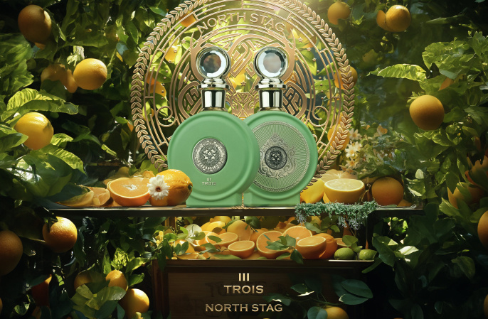 Paris Corner - North Stag Expressions III Trois 100 ml