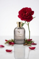 Vittorio - Brezza Extrait De Parfum 100 ml