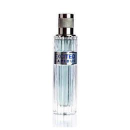 Оригинал Ted Lapidus - Excited Pour Homme, 100 ml