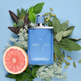 Оригинал Jimmy Choo - Man Aqua Eau de Toilette 100 ml