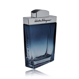 Оригинал Salvatore Ferragamo - Subtil Pour Homme Eau de Toilette, 100 ml