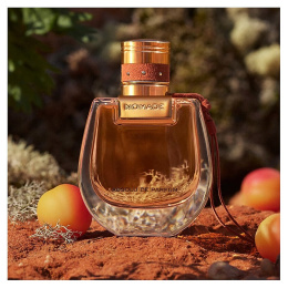 Высокого качества 1в1 Chloe - Nomade Absolu De Parfum 75 ml