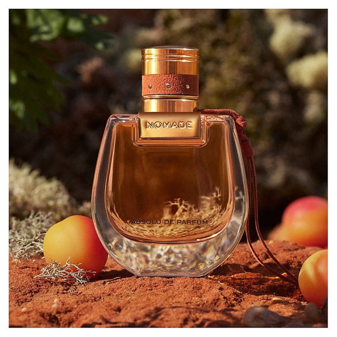 Высокого качества 1в1 Chloe - Nomade Absolu De Parfum 75 ml