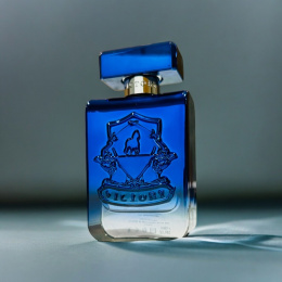 Victory Perfumes -  Radiant Eau de Parfum 100 ml