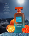 Anfar 1950 - Midnight Frost Tangerine, 100 ml